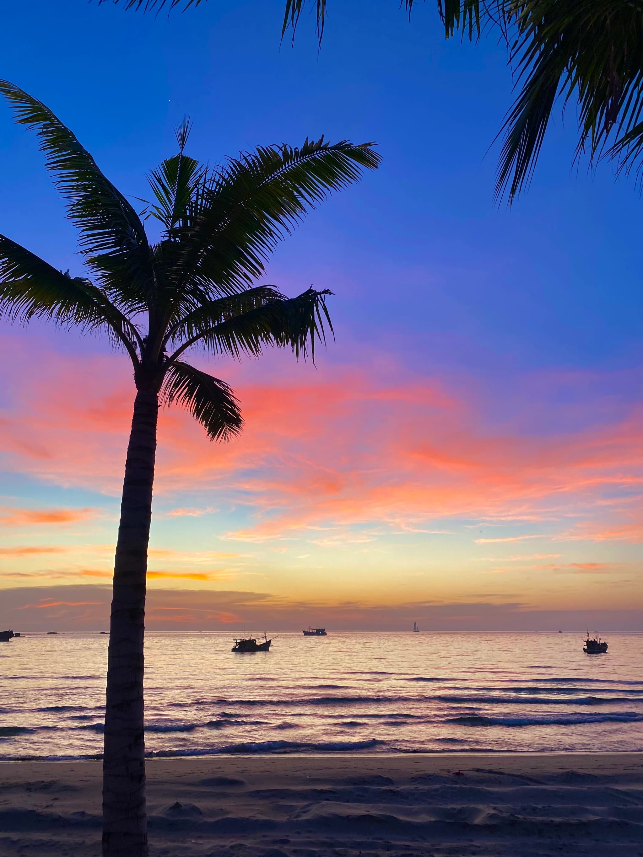 Vietnam: Il Risveglio